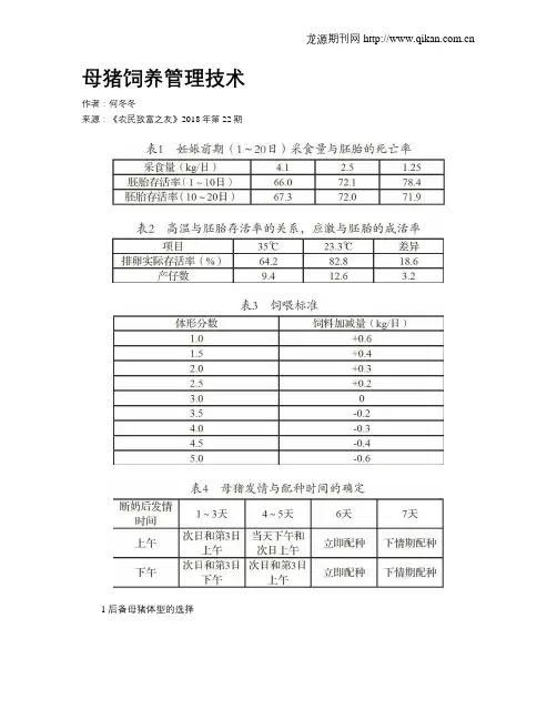 母猪饲养管理技术