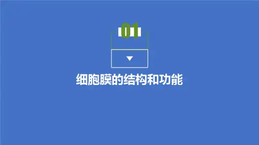 2021-高中生物人教版必修第一册课件：第3章第1节 细胞膜的结构和功能 