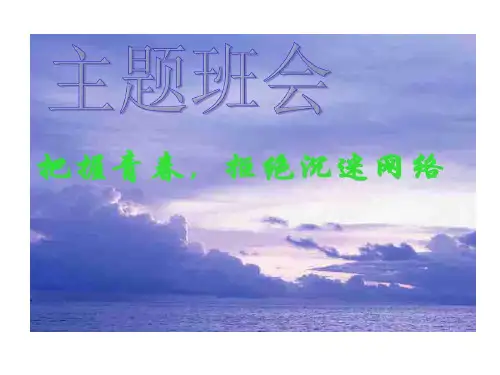 珍惜青春拒绝沉迷网络共16页文档