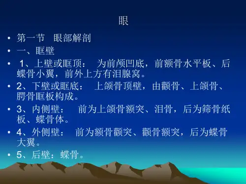 眼眶影像学-检查