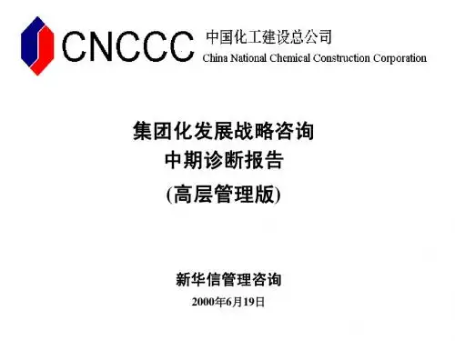 集团化发展战略咨询中期诊断报告(高层管理版)