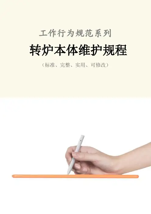 转炉本体维护规程范本