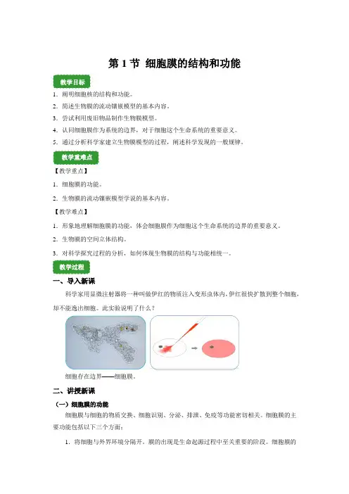 高中生物2019版新教材必修一3-1《细胞膜的结构和功能》探究教案