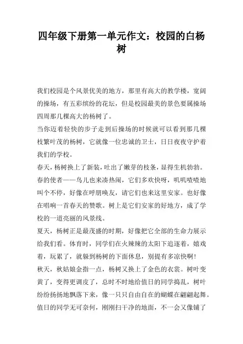 四年级下册第一单元作文：校园的白杨树