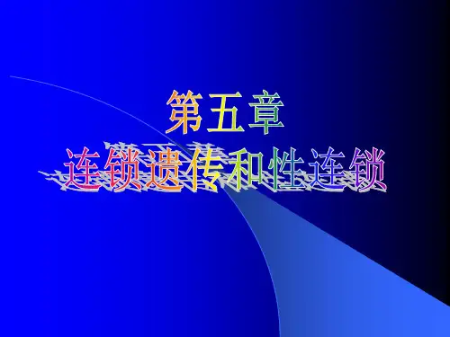 连锁遗传-1