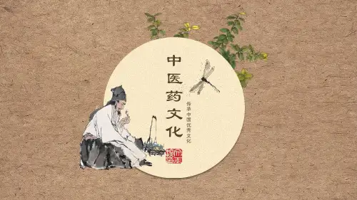 中医药文化PPT幻灯片
