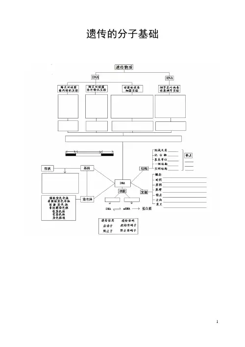 遗传的分子基础的知识结构图归纳及巩固练习试题