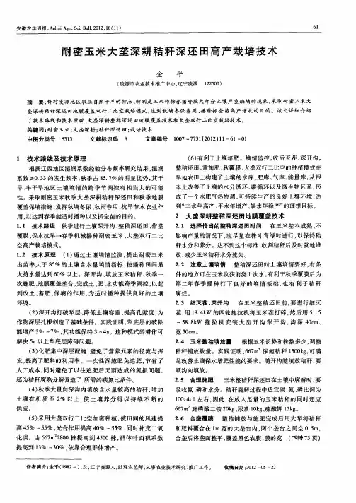耐密玉米大垄深耕秸秆深还田高产栽培技术
