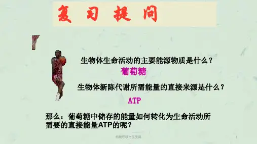 细胞呼吸市优质课课件