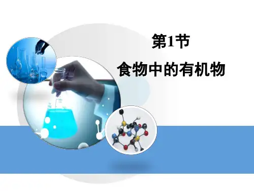 《食物中的有机物》教学课件概要