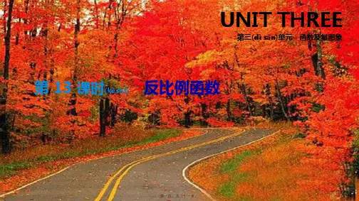 中考数学总复习 第三单元 函数及其图象 第13课时 反比例函数课件