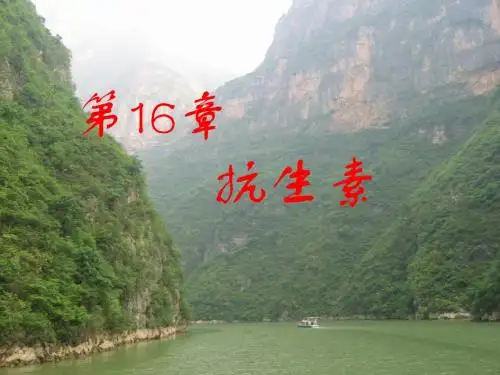 第十六和七章抗生素和激素