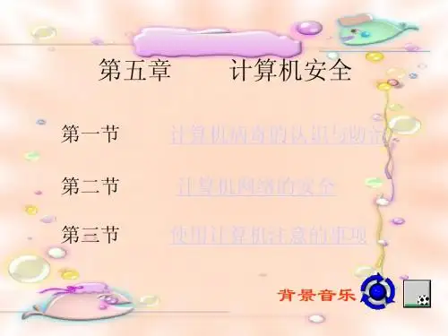 第五章 计算机安全