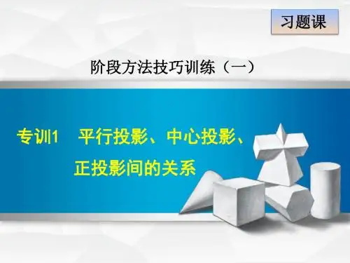 新冀教版九年级下册数学中考专题复习课件