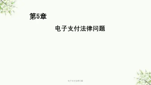 电子支付法律问题课件
