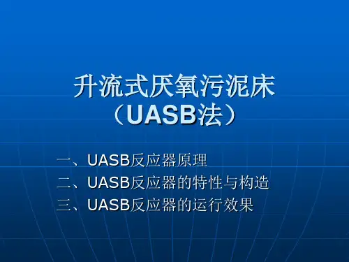 升流式厌氧污泥床