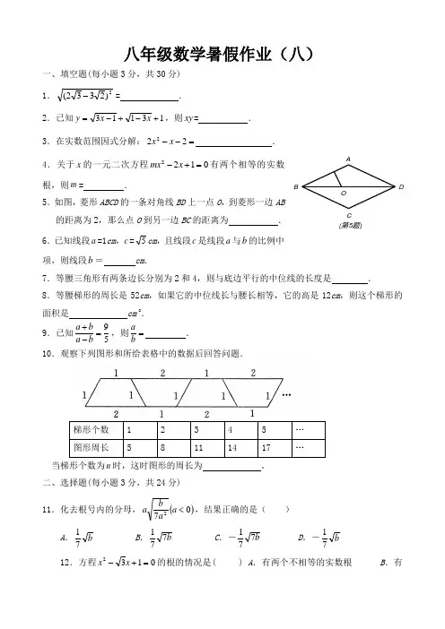 八年级数学暑假作业(八)