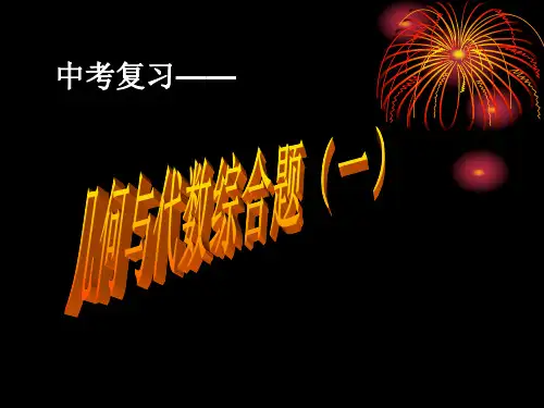 中考复习：几何与代数综合题(一)