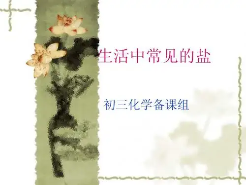 常见的盐2