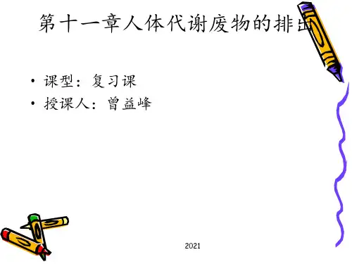 第十一章人体代谢废物的排出总复习PPT课件