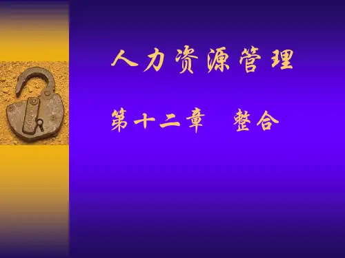 人力资源管理——整合