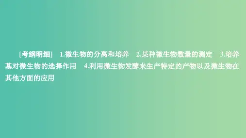 202x年高考生物一轮复习 第十一单元 第40讲 微生物的培养与应用(选修1 )