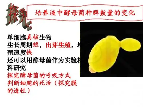 第三节 群落的结构(理科)