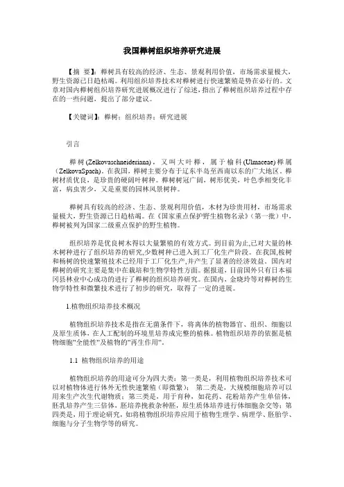 我国榉树组织培养研究进展