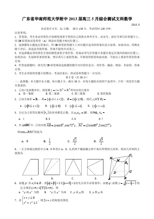 2013年华南师大附中高三5月综合测试文科数学(含答案)
