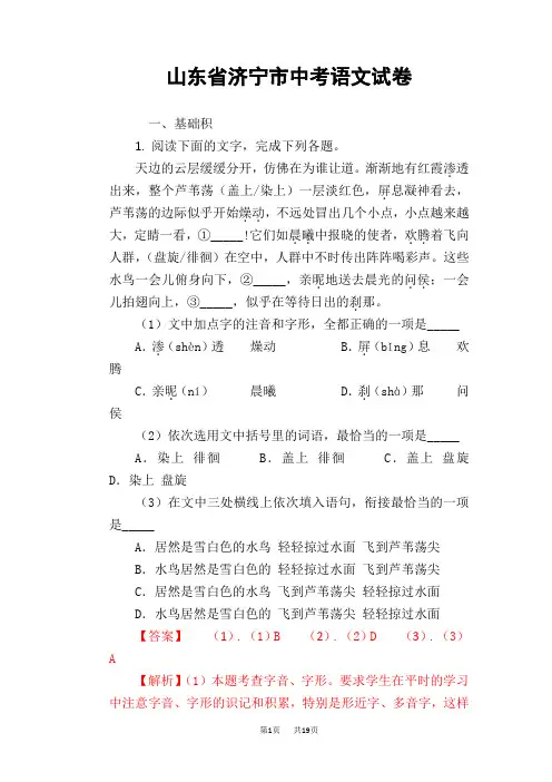 山东省济宁市2019年中考语文试题(word版,含答案)