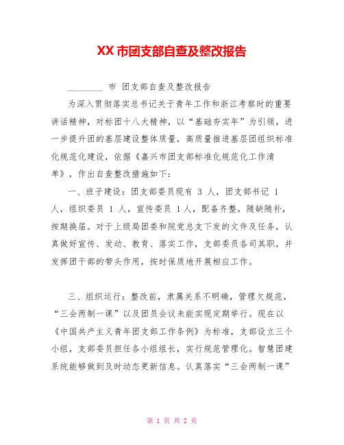 XX市团支部自查及整改报告