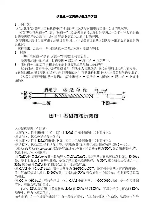 运载体与基因表达载体的区别