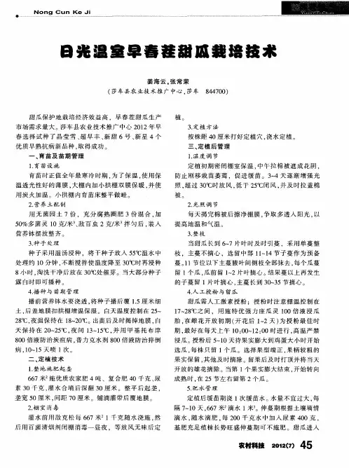 日光温室早春茬甜瓜栽培技术