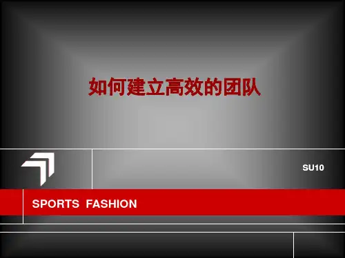 如何建立高绩效的团队