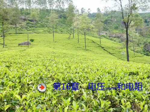 中考物理总复习 第十六章 电压和电阻课件