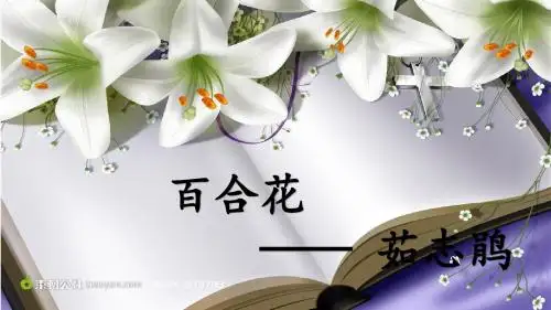 百合花