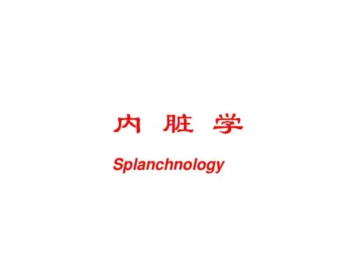 内脏学总论