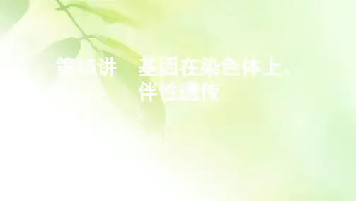 2021版新高考1版生物一轮课件：第5单元 第15讲 基因在染色体上、伴性遗传