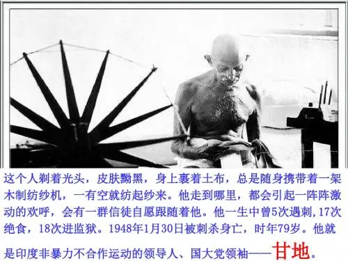 印度的觉醒概述