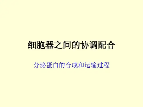 分泌蛋白的合成和运输过程.ppt