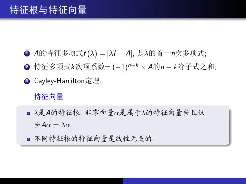 高等代数知识点总结