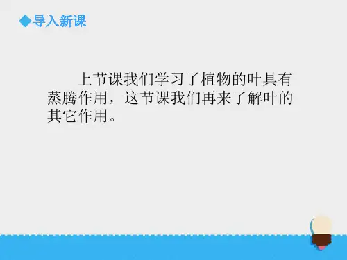 青岛版科学四年级上册《植物的叶(二)》课件