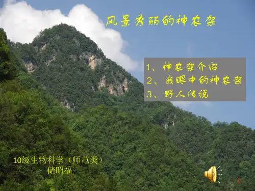 神农架介绍风景