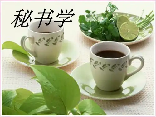 秘书学学生版1