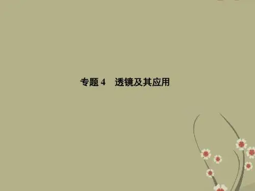 中考物理复习课件专题4 透镜及其应用