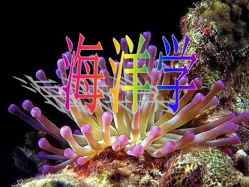第五章 波浪