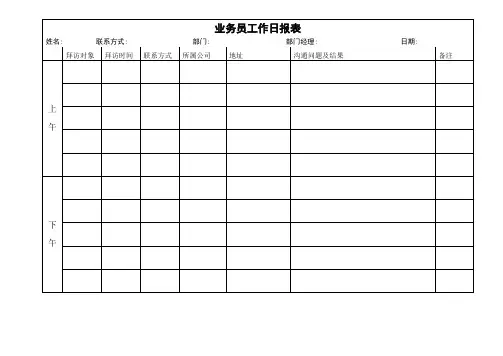 业务员工作日报表