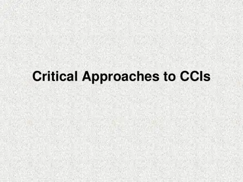 Critical Approaches to CCIs数学