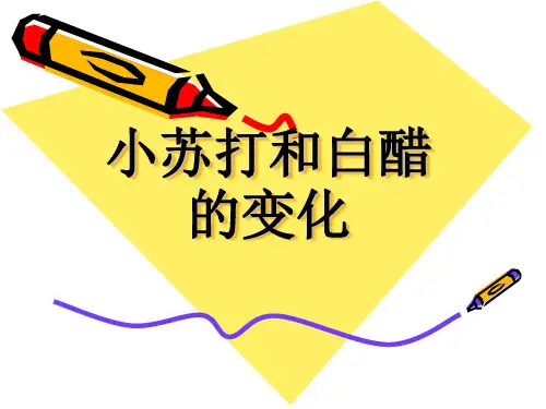 六年级下2 .4 小苏打和白醋的变化教科版实用PPT (共24张PPT)