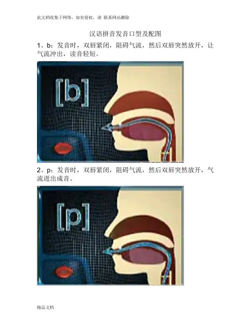 最新整理汉语拼音发音口型及配图教学内容
